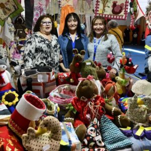 Realizan exitosa feria del adulto mayor en Punta Arenas