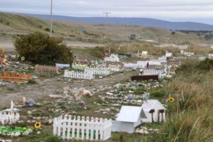Cementerio de mascotas en Punta Arenas: avanzan conversaciones