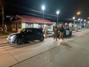 Violencia intrafamiliar y conducción en estado de ebriedad marcan la pauta delictiva en Punta Arenas