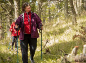 Parque del Estrecho de Magallanes inaugura nuevo sendero “Bosque de los Carpinteros”