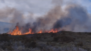 Decretan Alerta Roja por incendio forestal en Porvenir