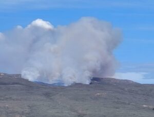 Declaran Alerta Amarilla en Porvenir por incendio forestal
