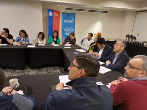 Mesa Comex trabaja en mejorar la eficiencia exportadora de Magallanes