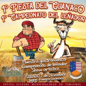 Municipalidad de Timaukel realizará la primera Fiesta del Guanaco
