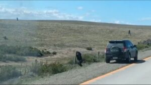 Video revela cinematográfica persecución policial en la carretera