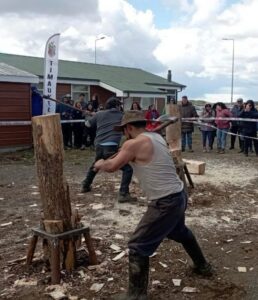 Campeonato del Leñador permitió mostrar destrezas en el arte con la madera