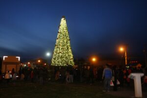 Mañana se encenderá tradicional árbol de Navidad