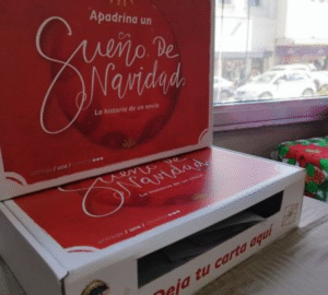 Mañana culmina recepción de apadrinamiento de cartas de CorreosChile