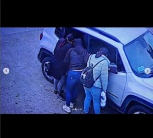 Carabineros ingresa  denuncia por robo de especies de vehiculos