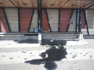 Vandalizan paradero en Punta Arenas