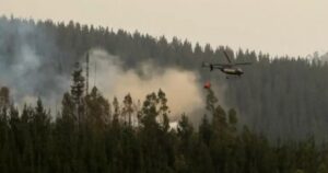 Advierten que incendios forestales en Chile serán simultáneos esta temporada