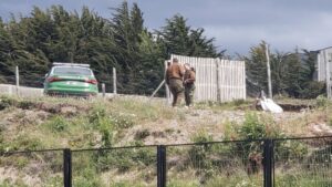 Investigan un presunto homicidio en Punta Arenas