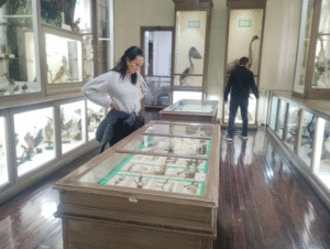 Museos prepararon actividades para ser visitados hoy