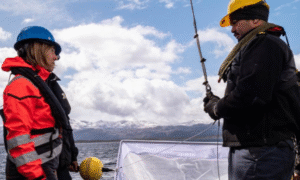 Estudio reveló microfibras de poliéster en aguas de la Patagonia