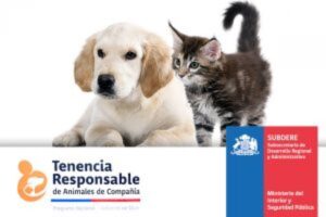 Carlos Pavez: “Un perro tiene que ver con su entorno ambiental”