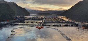 Nova Austral recurre al TC para zanjar disputa tributaria por $33 mil millones