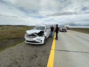 Auto extranjero chocó contra un guanaco camino a Natales