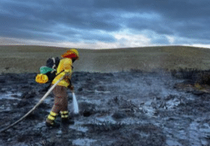 Conaf declara controlado incendio en sector de Cordón Baquedano
