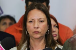 Piden que PPD sancione a su vicepresidenta Natalia Piergentili por asesorías a empresa de Zalaquett