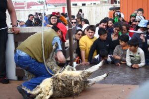 Falta de recursos pone en jaque la  realización del Festival de la Esquila
