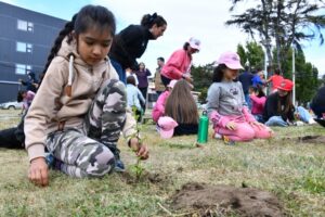 Niños plantan árboles en la Avenida Colón