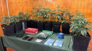 Más de 80 detenidos y 15 kilos de drogas en procedimientos del OS7 durante el 2023