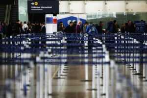 Caos en vuelo: pasajeros encontraron  una serpiente viva en el avión