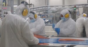 Empresa Chile Seafoods se acogió a  proceso de reorganización judicial