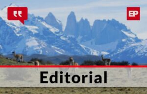 Precaución en vacaciones: Los guanacos, un alto peligro en las rutas