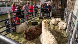 Conoce las actividades que tendrá la Expogama 2024