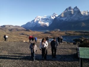 Conaf aseguró que problemas de nueva plataforma están resueltos
