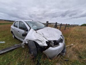 Mujer perdió el control de su vehículo al chocar con un ave en Punta Arenas