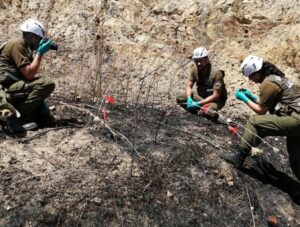 Fiscalía descarta informes que den cuenta de acelerantes en los incendios forestales