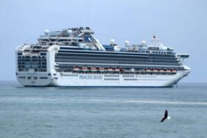 Cruceros internacionales recalaron ayer en Punta Arenas