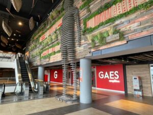 GAES inaugura su primer centro en Punta Arenas