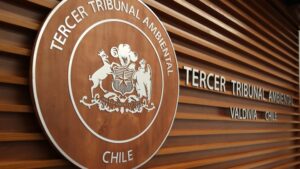 Tribunal Ambiental se declaró incompetente tras demanda por daño ambiental contra vertedero natalino