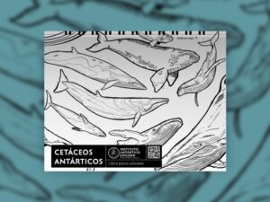 INACH lanzó libro  digital para colorear  los cetáceos antárticos