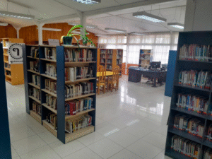 Biblioteca Pública Nº47 de Punta Arenas reabre renovada