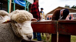 Expogama con fecha confirmada: del 8 al 10 de marzo