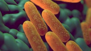 Ceviche y sushi provocan brote de salmonella: 12 infectados