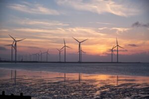 IA, greenwashing y DD.HH: las empresas y los desafíos en sostenibilidad para 2024