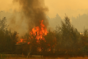 Detienen a mujer por incendiar casa de su pareja y desatar siniestro forestal