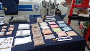 Emiten primeras condenas contra imputados del mayor operativo de drogas en Magallanes