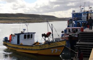 Inquietud en la pesca  artesanal de Magallanes
