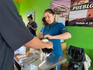 “Amigos Fieles” inmunizará a perros y gatos en Natales