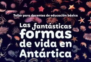 Inach dictará taller para  docentes de básica