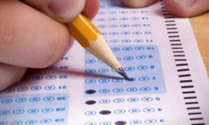 Dos colegios privados lideran resultados Simce en Magallanes