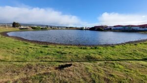 Reconocen a la Laguna Pudeto como Humedal Urbano