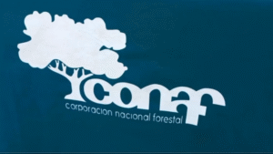 Salmoneros denuncian a la Contraloría “financiamiento irregular” de ONG a la CONAF