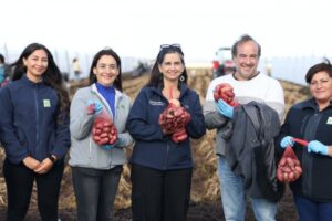 Subsecretaria de Agricultura destacó producción de papas en Magallanes
